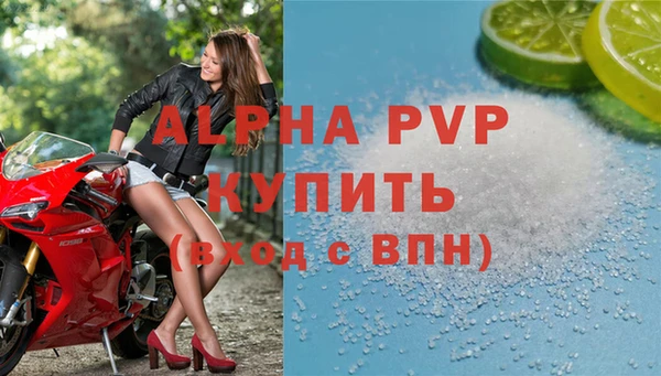 СК Белокуриха