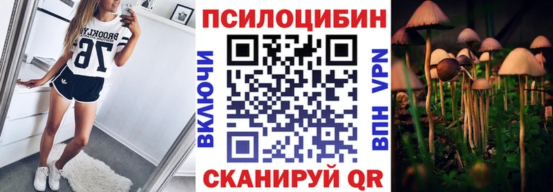 как найти наркотики MEGA ONION Псилоцибиновые грибы Psilocybine cubensis Ворсма